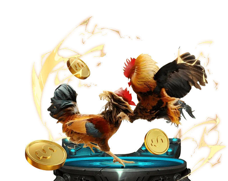 Chương trình hoàn trả cược cao nhất thị trường s11uu